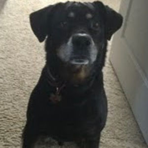 Meet your Posher, Olivia